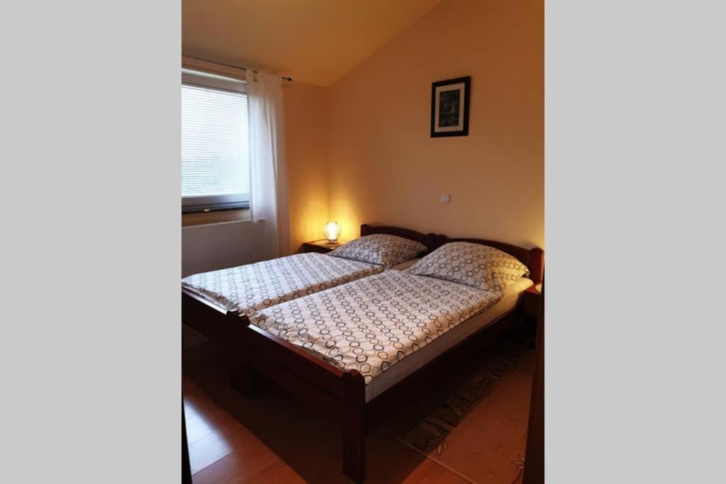 Apartman Stela ポレッチ エクステリア 写真